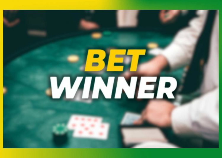 Look for While Choosing a BetWinner Bookmaker