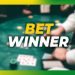 Look for While Choosing a BetWinner Bookmaker
