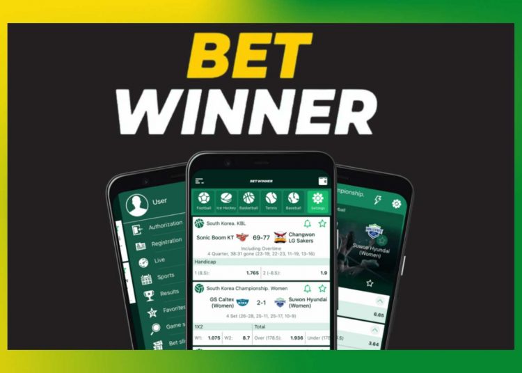 Process of registration on betwinner