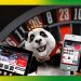 Royal Panda app is a mobile online casino company