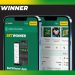 Betwinner a safe website