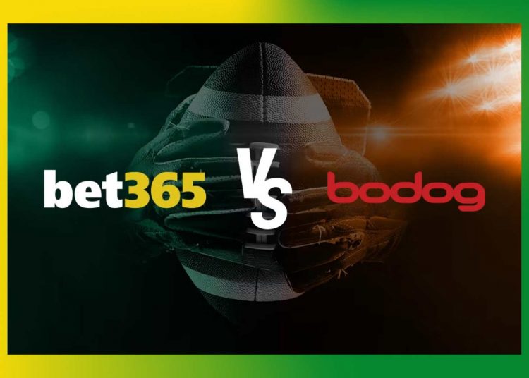 Bet365 and Bodog The popularity of bookmakers